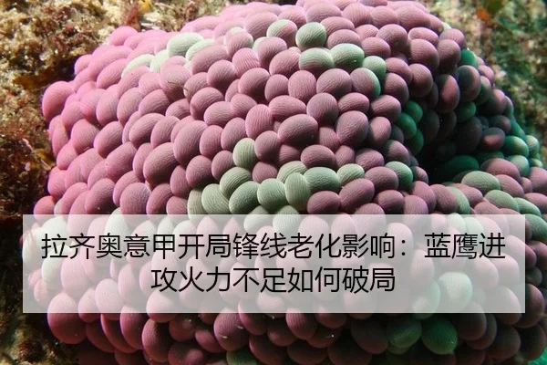la-qi-ao-yi-jia-kai-ju-feng-xian-lao-hua-ying-xiang-lan-ying-jin-gong-huo-li-bu-zu-ru-he-po-ju-3-923.jpg