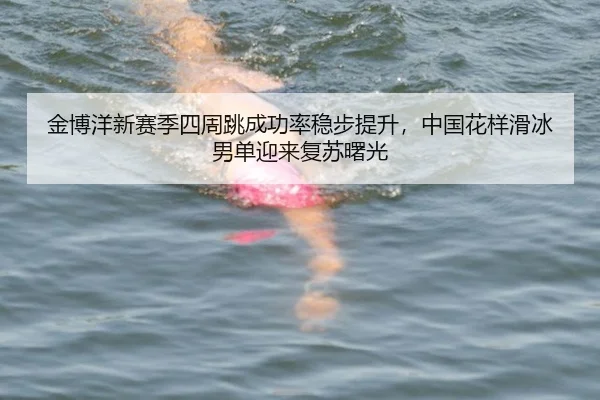 jin-bo-yang-xin-sai-ji-si-zhou-tiao-cheng-gong-lv-wen-bu-ti-sheng-zhong-guo-hua-yang-hua-bing-nan-dan-ying-lai-fu-su-2-475.jpg